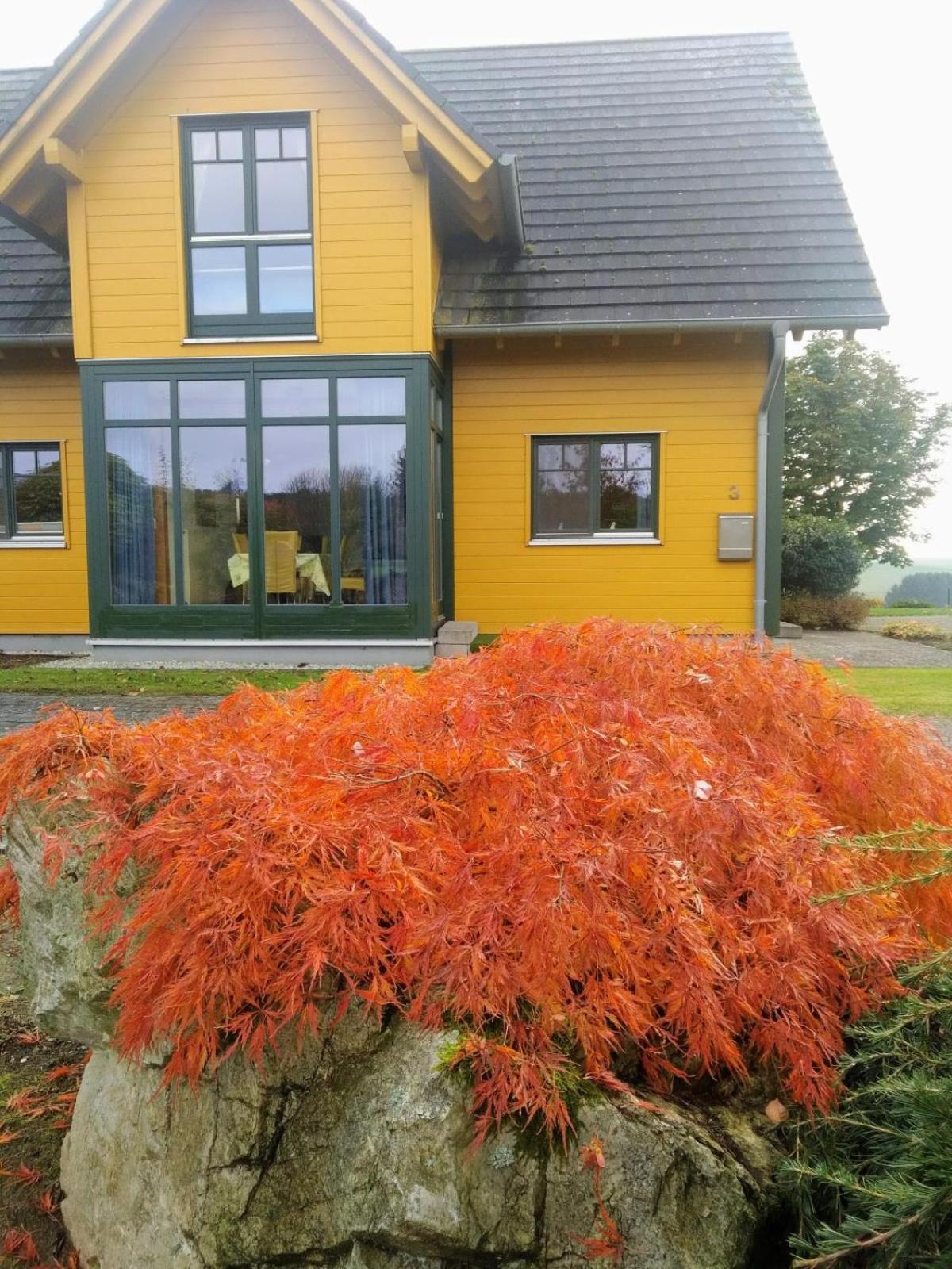 Gelbe Holiday home *